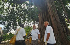 Niterói intensifica ações contra a dengue e reforça estratégia de prevenção no verão