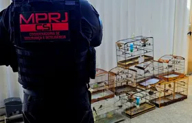 Operação nacional prende 18 pessoas pelo tráfico de fauna silvestre em 11 estados