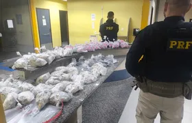 PRF apreende mais de 6 mil pinos de cocaína na BR-116, em Teresópolis