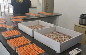 PRF apreende medicamentos controlados e mercadorias sem nota fiscal na via Dutra