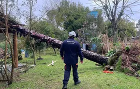 Rio Grande do Sul: chuvas deixam 720 desabrigados em Eldorado do Sul