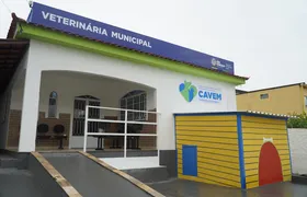 São Gonçalo oferece mais de mil vagas para castração de cães e gatos este mês
