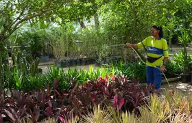 São Gonçalo reforça ações de paisagismo com novos canteiros e jardins
