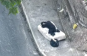 "Soneca” do tráfico é preso enquanto dormia em rua de comunidade de São Gonçalo