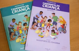 Vacinação com a Pneumo 20 pelo SUS começa em duas semanas, diz Padilha