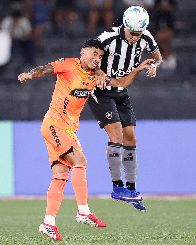 Botafogo é surpreendido, perde em casa e está fora da Libertadores ...