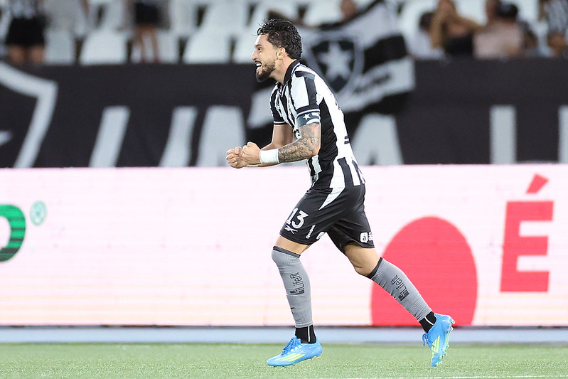 Botafogo marca no fim e vence a Chapecoense na partida de ida da Copa ...