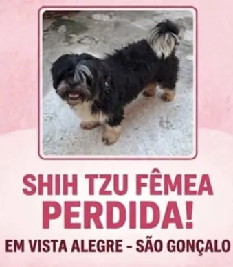 Cachorrinha teria sido pega em Vista Alegre, segundo familiares