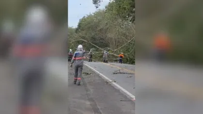 Ventania que atingiu o Rio deixa 14 mil clientes sem energia elétrica