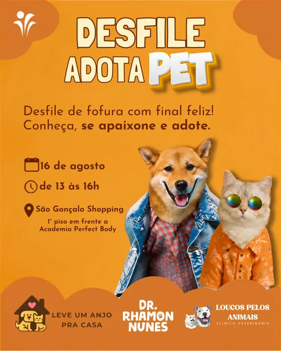 A iniciativa é promovida pela ONG 'Leve um Anjo pra Casa'