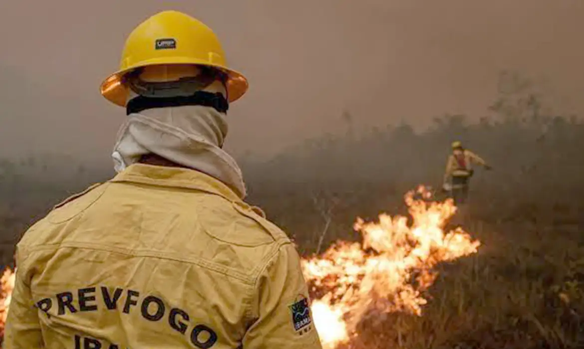 Após o pico de 494 novos focos, no dia 10 de outubro, o estado registra nesta sexta-feira (16) 188 focos de incêndio