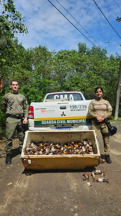 Conhecido como o “jardineiro do mangue”, o caranguejo-uçá desempenha um papel fundamental na preservação desse ecossistema
