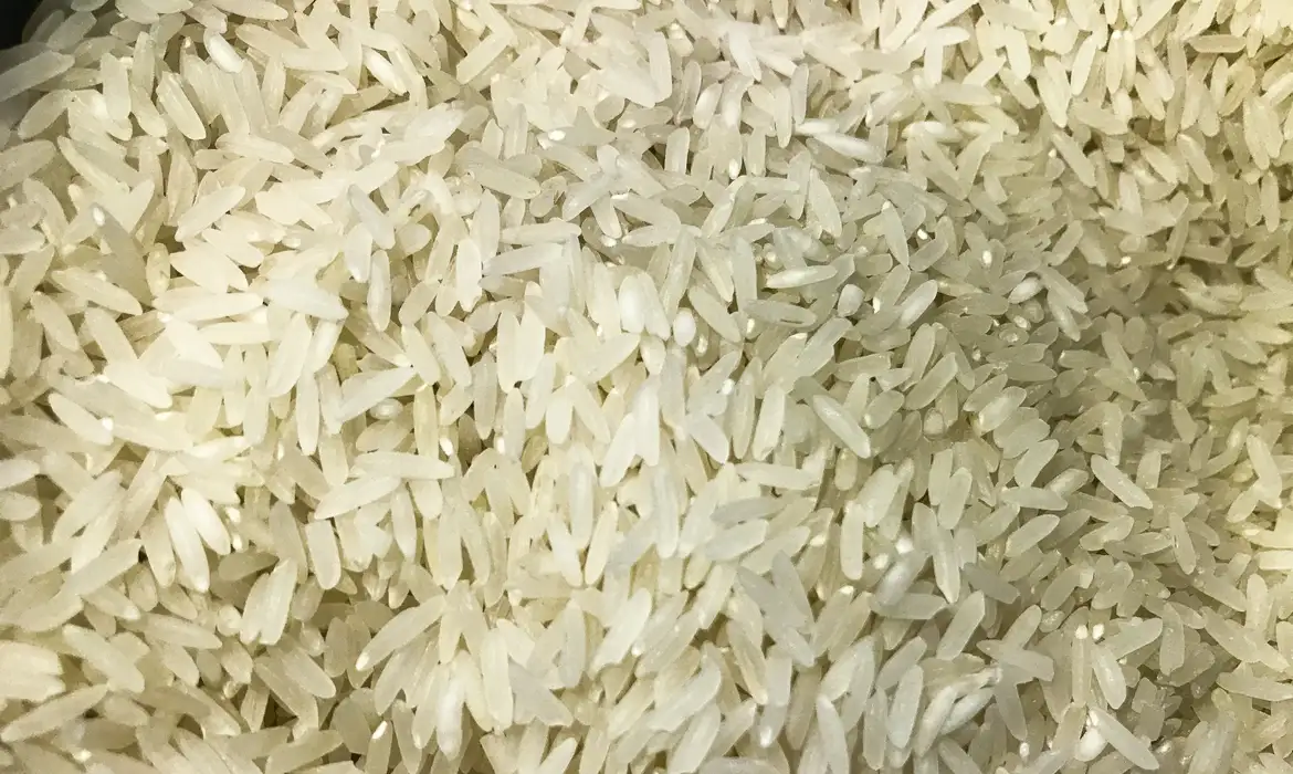 O arroz, alimento básico em várias culturas, simboliza fertilidade e prosperidade
