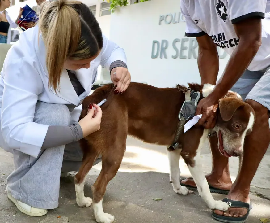 Nas duas etapas anteriores, realizadas nas Praias da Baía (Zona Sul e Centro) e na Zona Norte, foram aplicadas 5.726 doses
