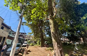 Árvores sobre fiação deixam moradores em alerta no Galo Branco