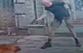 Cachorro é morto a tiros após se aproximar de homem na Tijuca