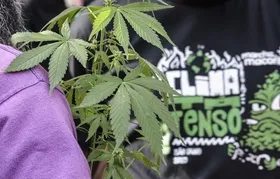 Flagrante por drogas gera mais prisão preventiva do que outros crimes