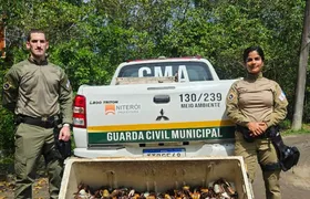 Guarda Ambiental de Niterói resgata 450 caranguejos-uçá comercializados irregularmente