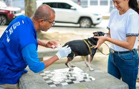 Itaboraí inicia vacinação antirrábica gratuita para cães e gatos