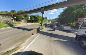 RJ-104 sofre retenções após cavalo ser atropelado