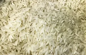 Terremoto: Brasil doará 10 toneladas de arroz à Colômbia