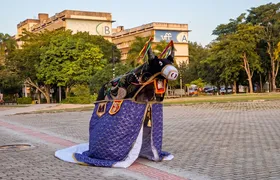 UFF convida para a 15ª edição do Festival Interculturalidades