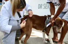 Vacinação antirrábica para cães e gatos chega à Região Oceânica e Pendotiba neste sábado (26)
