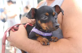 Vacinação antirrábica para cães e gatos neste sábado (26) em Niterói