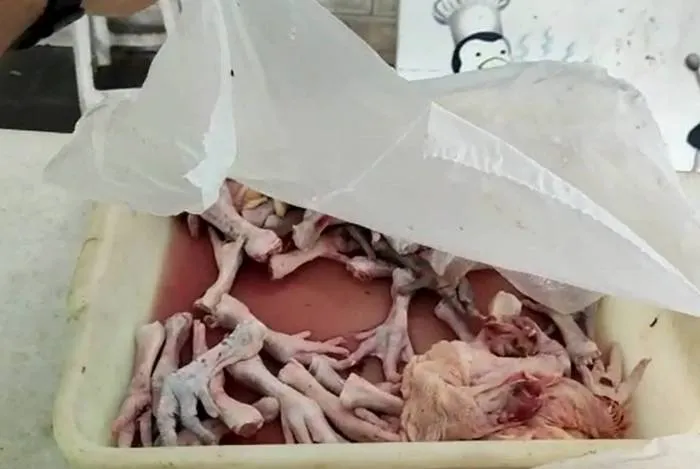 Foram recebidas denúncias de que no local eram vendidos pombos como se fossem galetos