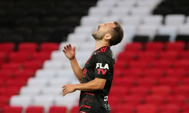 O Flamengo volta a entrar em campo no próximo domingo