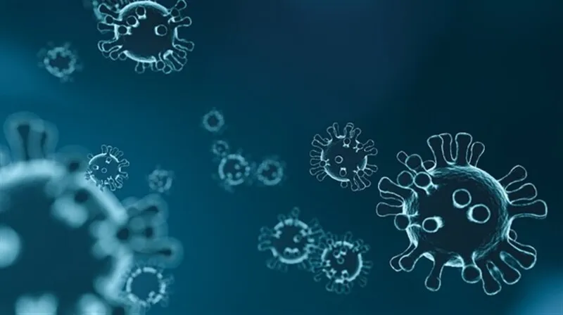 Imagem ilustrativa da imagem Duas leis autorizativas de enfrentamento à pandemia entram em vigor