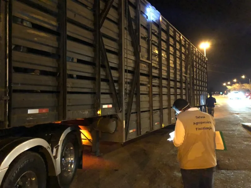 Imagem ilustrativa da imagem Ação do Estado e da PM culmina com apreensão de 460 quilos de carne 'pirata'