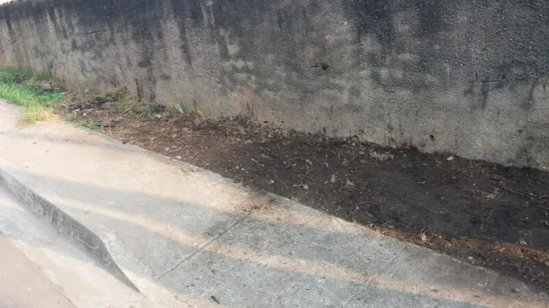 Foto do local depois de ser limpo pela Prefeitura