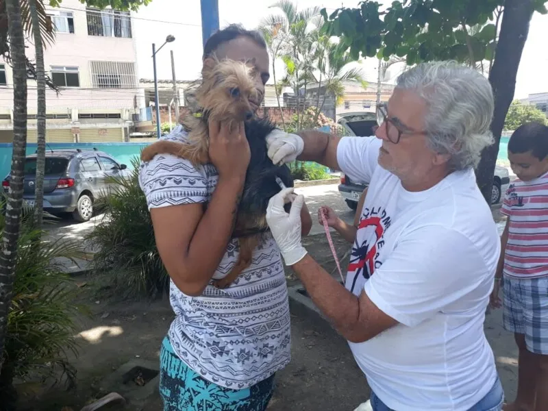 A raiva possui alguns tipos e fases e é considerada incurável