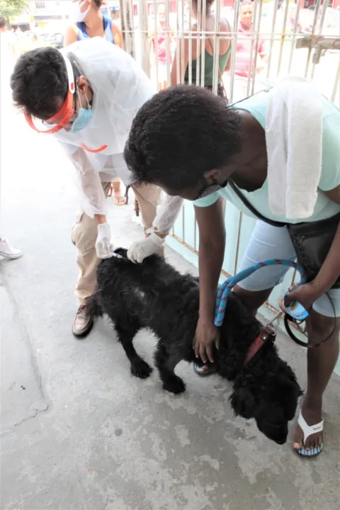 Imagem ilustrativa da imagem Prefeitura de Niterói vacina 8 mil cães e gatos no primeiro dia da campanha contra a raiva