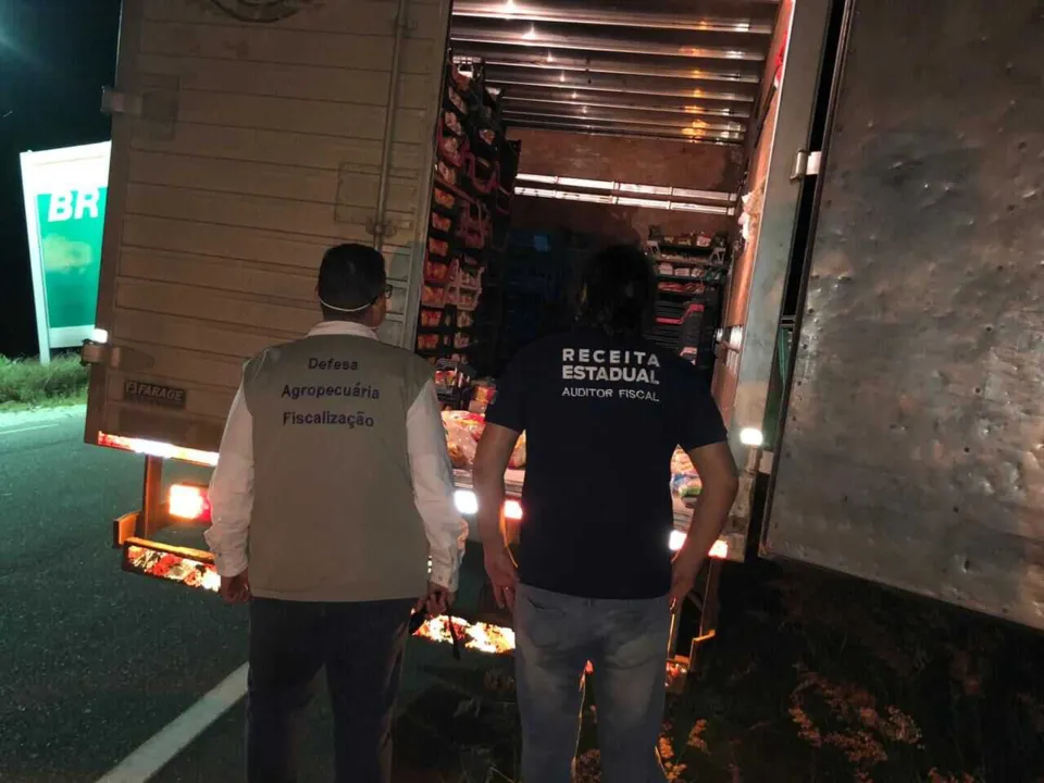 Os Auditores Fiscais da Receita Estadual abordaram os veículos transportando gado vivo