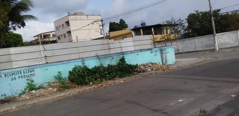 O local atrai insetos e moscas 