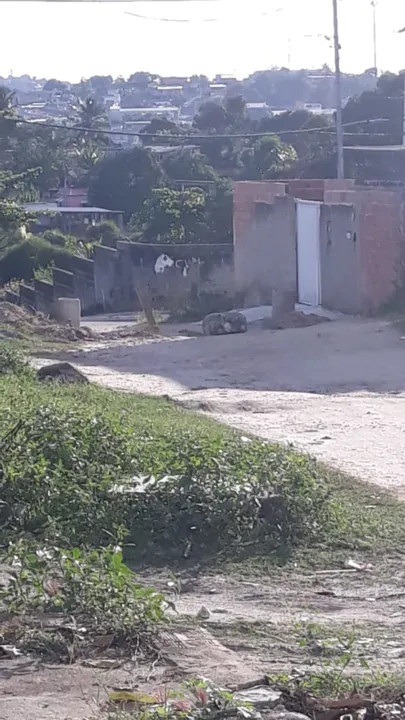 Traficantes estão concretando as barricadas