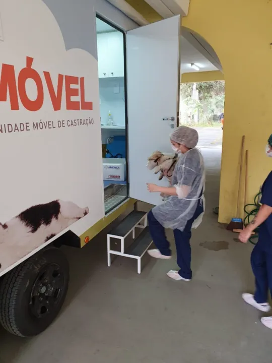 Imagem ilustrativa da imagem Castramóvel realiza 100 cirurgias em cães e gatos no Caramujo