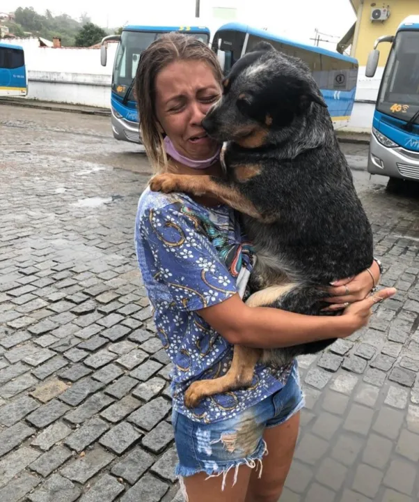 Cadela Amarula estava desaparecida em Maricá há cinco dias