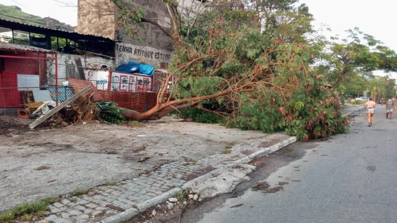 Árvores caíram e moradores estão sem luz em SG após temporal 