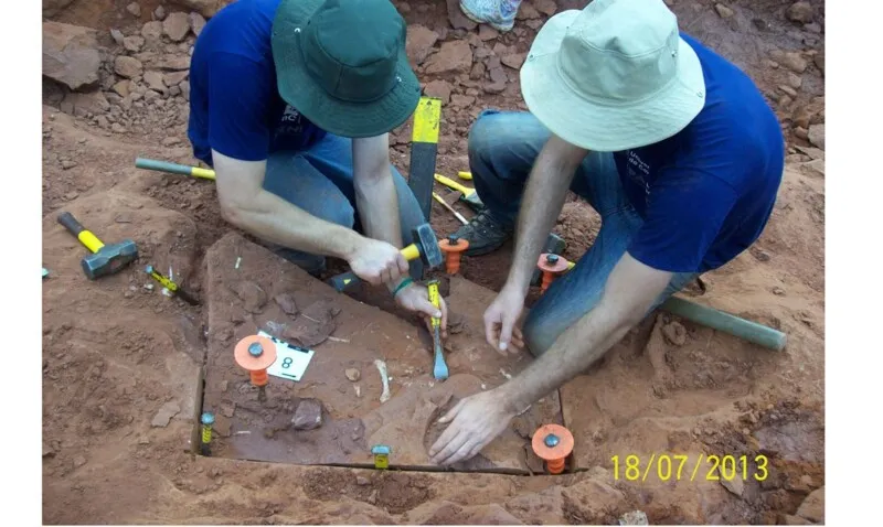 O estudo foi conduzido em parceria com Centro Paleontológico da Universidade do Contestado, em Santa Catarina