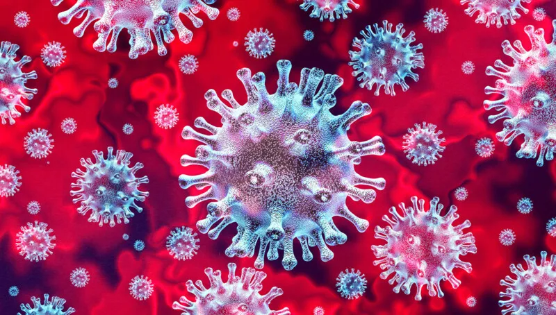 Imagem ilustrativa da imagem Coronavírus: quatro leis autorizativas entram em vigor