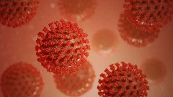 Como o vírus ainda é relativamente novo, não dá pra dizer se todos que contraíram a covid-19 podem se contaminar novamente