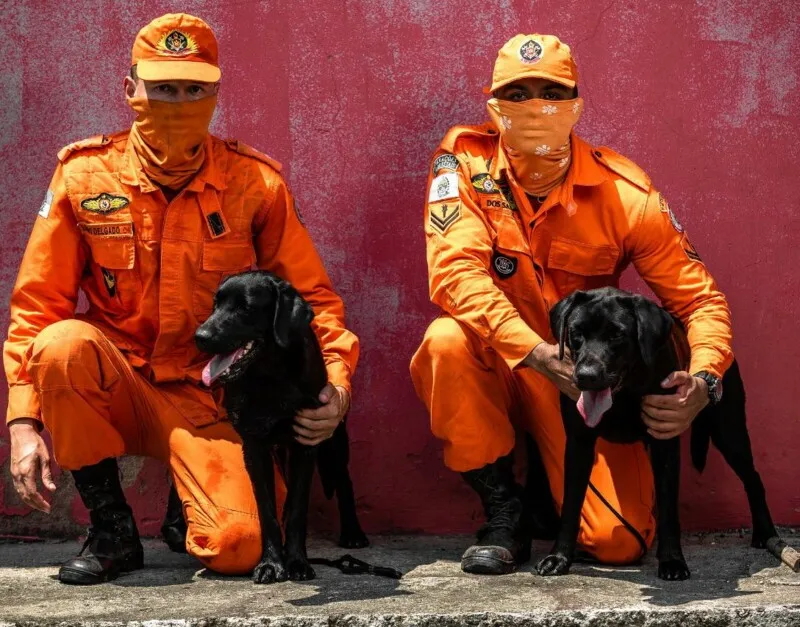 Cães chegam para reforçar COMERJ