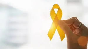 Imagem ilustrativa da imagem Niterói promove encontros virtuais de conscientização e prevenção ao suicídio