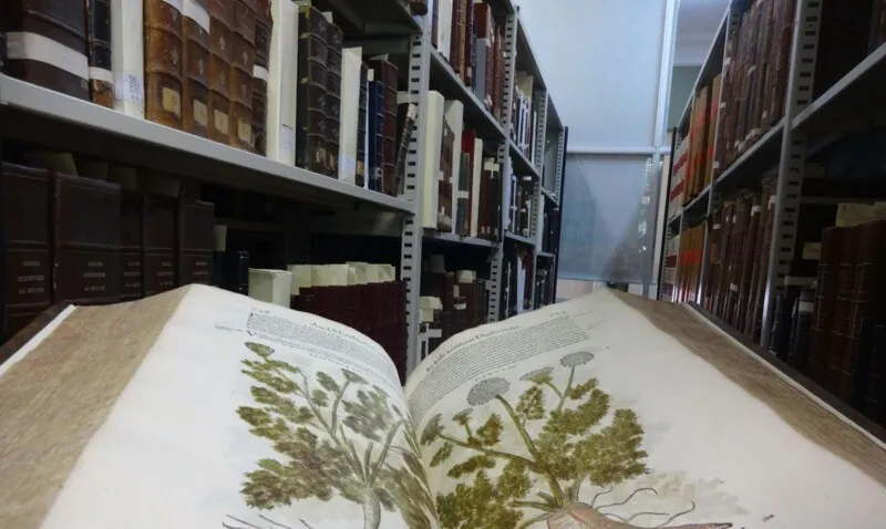 Imagem ilustrativa da imagem Universidade Federal de São Carlos abre feira virtual de livros