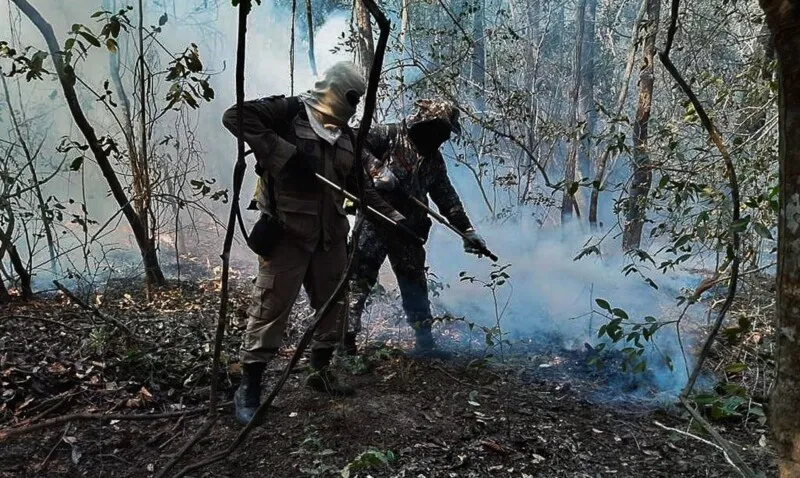 Os bombeiros atuarão na região por 30 dias, prazo que poderá ser prorrogado