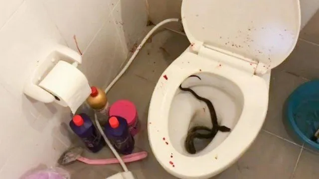 Jovem levou três pontos na glande