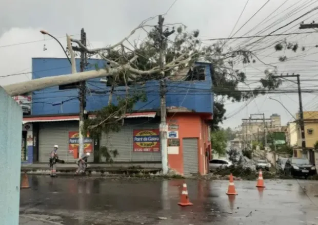 Imagem ilustrativa da imagem Raio derruba árvore em UMPA de Nova Cidade (veja vídeo)